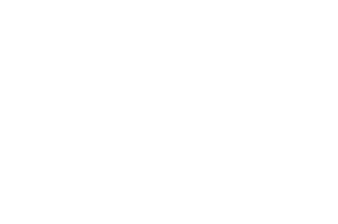 logotipo blanco navalcarbon